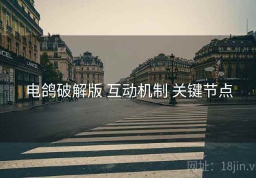 电鸽破解版 互动机制 关键节点