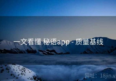 一文看懂 秘语app - 质量基线