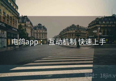 电鸽app ： 互动机制 快速上手