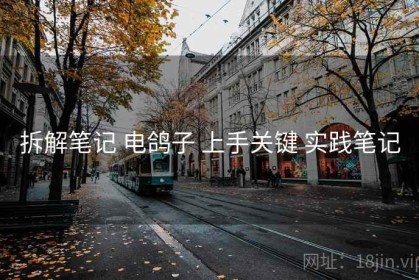 拆解笔记 电鸽子 上手关键 实践笔记
