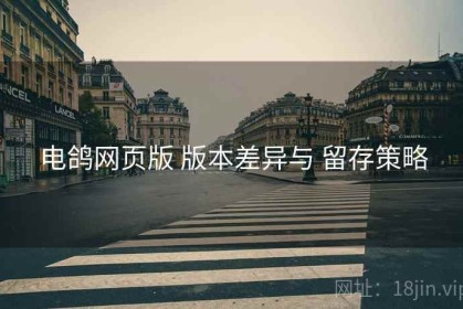 电鸽网页版 版本差异与 留存策略
