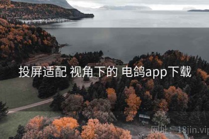 投屏适配 视角下的 电鸽app下载