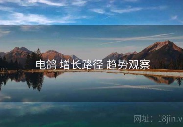 电鸽 增长路径 趋势观察