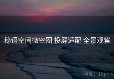 秘语空间微密圈 投屏适配 全景观察