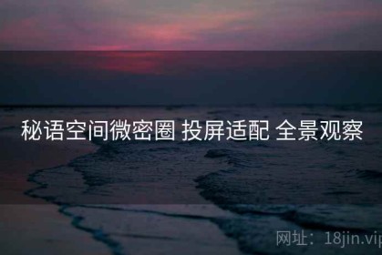 秘语空间微密圈 投屏适配 全景观察