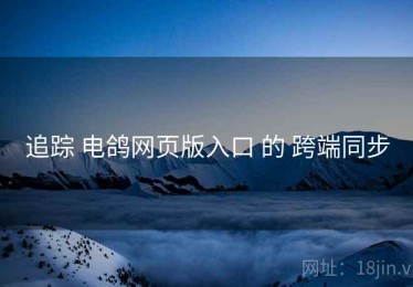 追踪 电鸽网页版入口 的 跨端同步