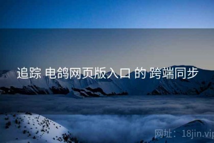 追踪 电鸽网页版入口 的 跨端同步