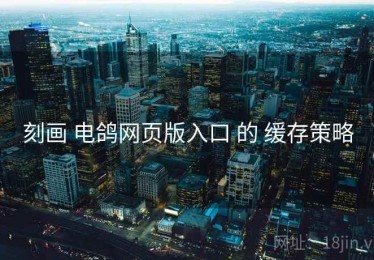 刻画 电鸽网页版入口 的 缓存策略