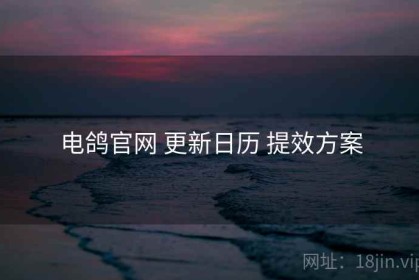 电鸽官网 更新日历 提效方案
