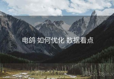 电鸽 如何优化 数据看点