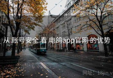 从 账号安全 看 电鸽app官网 的优势