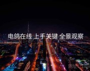 电鸽在线 上手关键 全景观察