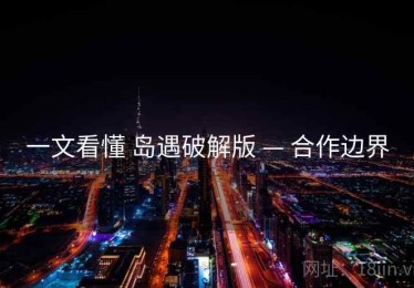 一文看懂 岛遇破解版 — 合作边界