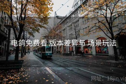 电鸽免费看 版本差异与 场景玩法