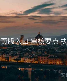 电鸽网页版入口 审核要点 执行要点