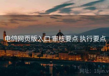 电鸽网页版入口 审核要点 执行要点