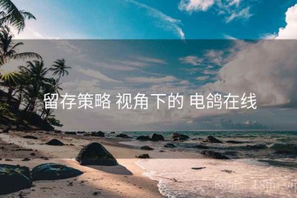 留存策略 视角下的 电鸽在线