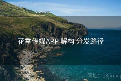 花季传媒APP 解构 分发路径