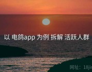 以 电鸽app 为例 拆解 活跃人群