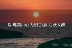 以 电鸽app 为例 拆解 活跃人群