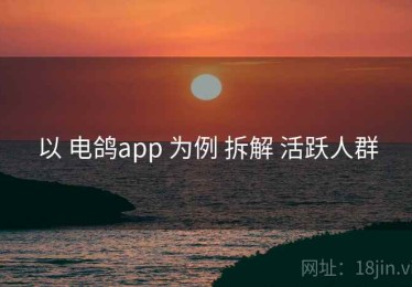 以 电鸽app 为例 拆解 活跃人群