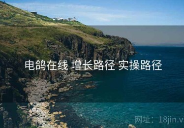 电鸽在线 增长路径 实操路径