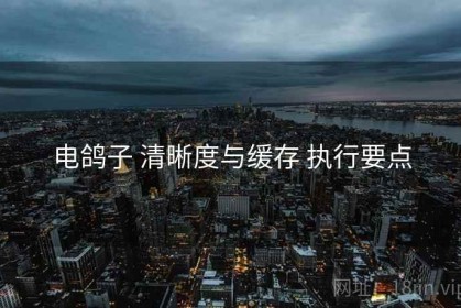 电鸽子 清晰度与缓存 执行要点
