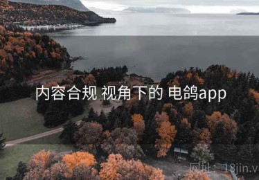 内容合规 视角下的 电鸽app
