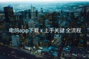 电鸽app下载 x 上手关键 全流程