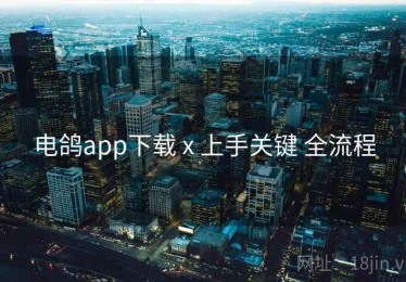 电鸽app下载 x 上手关键 全流程