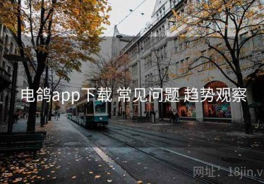电鸽app下载 常见问题 趋势观察