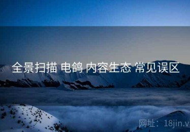 全景扫描 电鸽 内容生态 常见误区