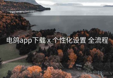 电鸽app下载 x 个性化设置 全流程