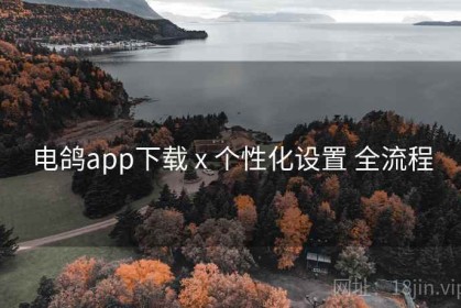 电鸽app下载 x 个性化设置 全流程