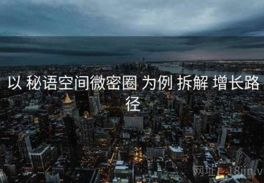 以 秘语空间微密圈 为例 拆解 增长路径