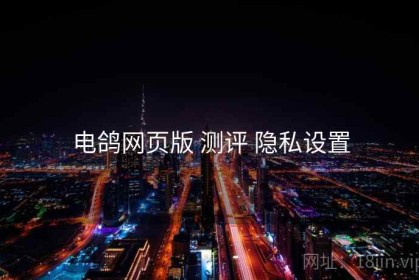 电鸽网页版 测评 隐私设置