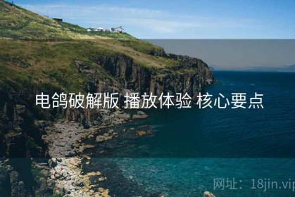 电鸽破解版 播放体验 核心要点