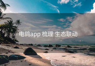 电鸽app 梳理 生态联动