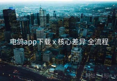 电鸽app下载 x 核心差异 全流程