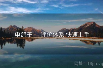 电鸽子 — 评价体系 快速上手