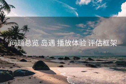 问题总览 岛遇 播放体验 评估框架