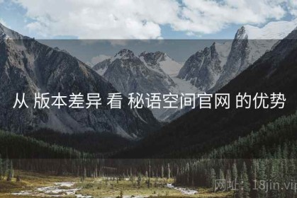 从 版本差异 看 秘语空间官网 的优势