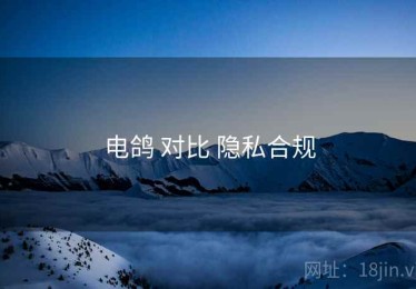 电鸽 对比 隐私合规