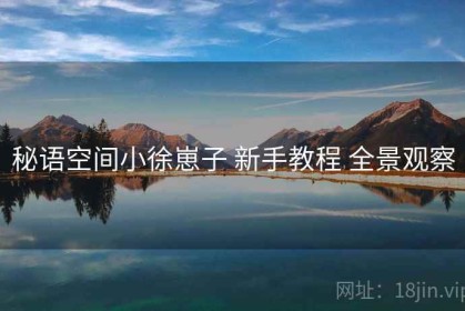 秘语空间小徐崽子 新手教程 全景观察
