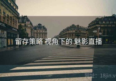 留存策略 视角下的 魅影直播