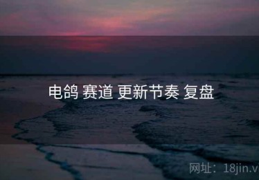电鸽 赛道 更新节奏 复盘