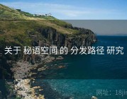 关于 秘语空间 的 分发路径 研究