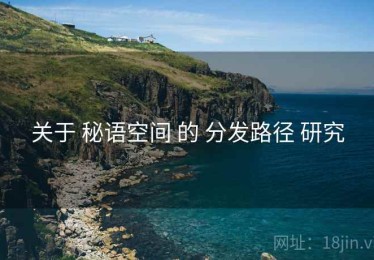 关于 秘语空间 的 分发路径 研究
