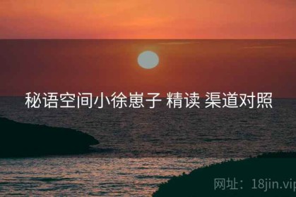 秘语空间小徐崽子 精读 渠道对照