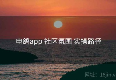 电鸽app 社区氛围 实操路径
